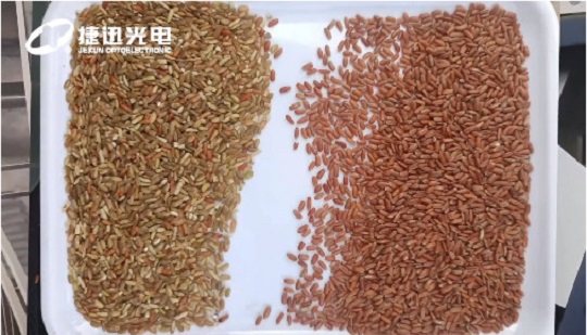 "Kırmızı kahverengi pirincin" kalite sınıflandırması hangi değer geliştirmelerini getirecek?
