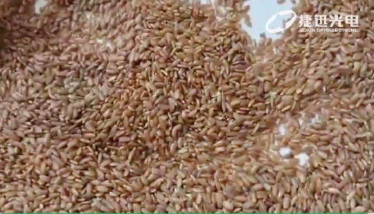 Cilasız Pirinç Sıralaması : Sadece Kırmızı Cilasız Pirinç Sıralaması Değil
