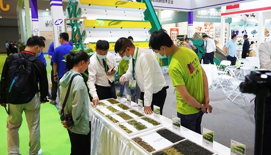 Hangzhou Tea Expo Kalite seçiminde yükseltilmiş farkındalık, çay ayırma teknolojisinde derin atılım