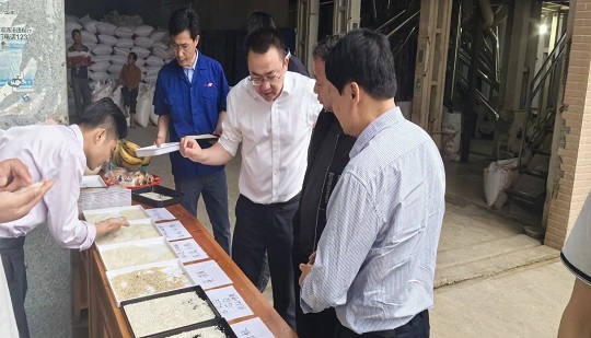 [Kalite Ayırma Sitesi]PRO Serisi Pirinç Kalitesi Ayırma Yeni Ürünleri için Yerinde Deneyim Etkinliği Guangxi'de Başarıyla Düzenlendi!