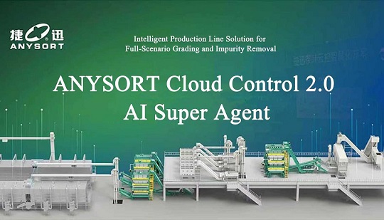 Dünyanın İlk Tam Senaryo Çay Sınıflandırma ve Kirlilik Giderme Üretim Hattı Resmen Hizmete Girdi ve “Kirlilik” Çağı Sonlandı!